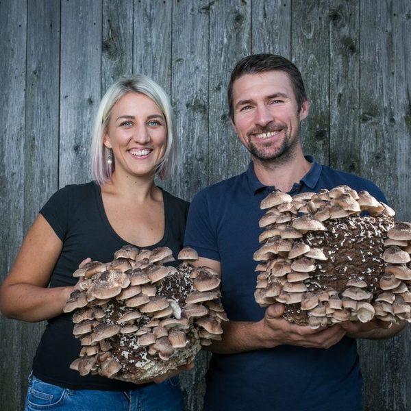 Lächelndes Paar hält zwei große Pilzblöcke mit Speisepilzen vor einer Holzwand.